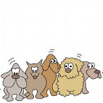 Hunde