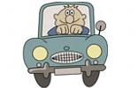 Mann im Auto