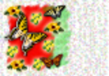 bkg063.jpg