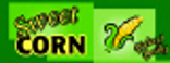 07x24859.wmf