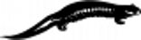aa41014b.wmf