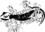 aa43003a.wmf