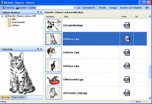 Browser_Katzen.jpg