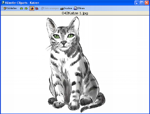 Detail_Katzen.jpg
