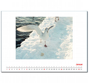 fotokalender_ds_2011_detail_quer.jpg