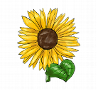 Illustrationen Frühling: Sonnenblume und viele weitere Motive